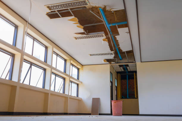 Best Water damage restoration near me  in Edgewood, KY