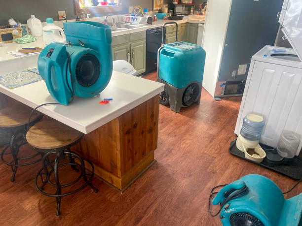 Professional Water damage restoration in Edgewood, KY