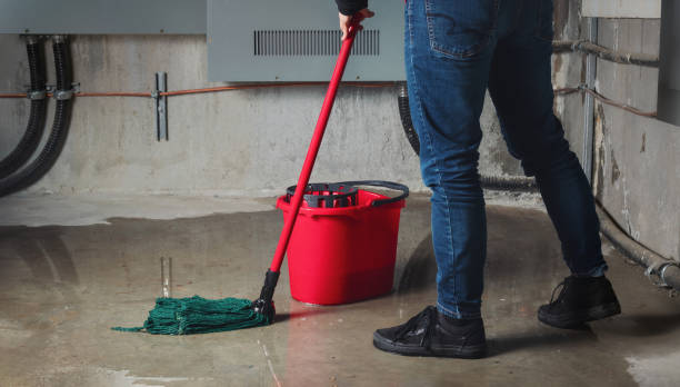 Best Water damage restoration near me  in Edgewood, KY