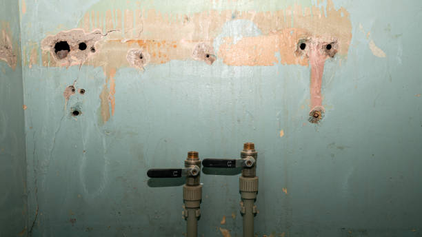 Best Water damage cleanup near me  in Edgewood, KY