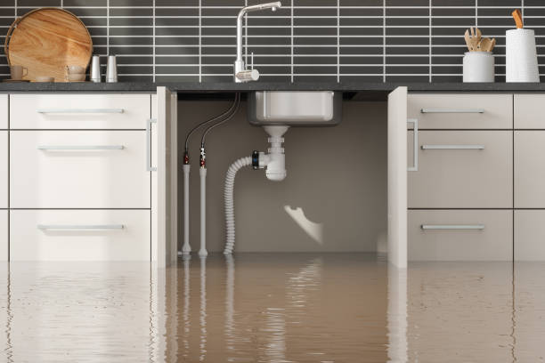 Best Flood damage cleanup  in Edgewood, KY